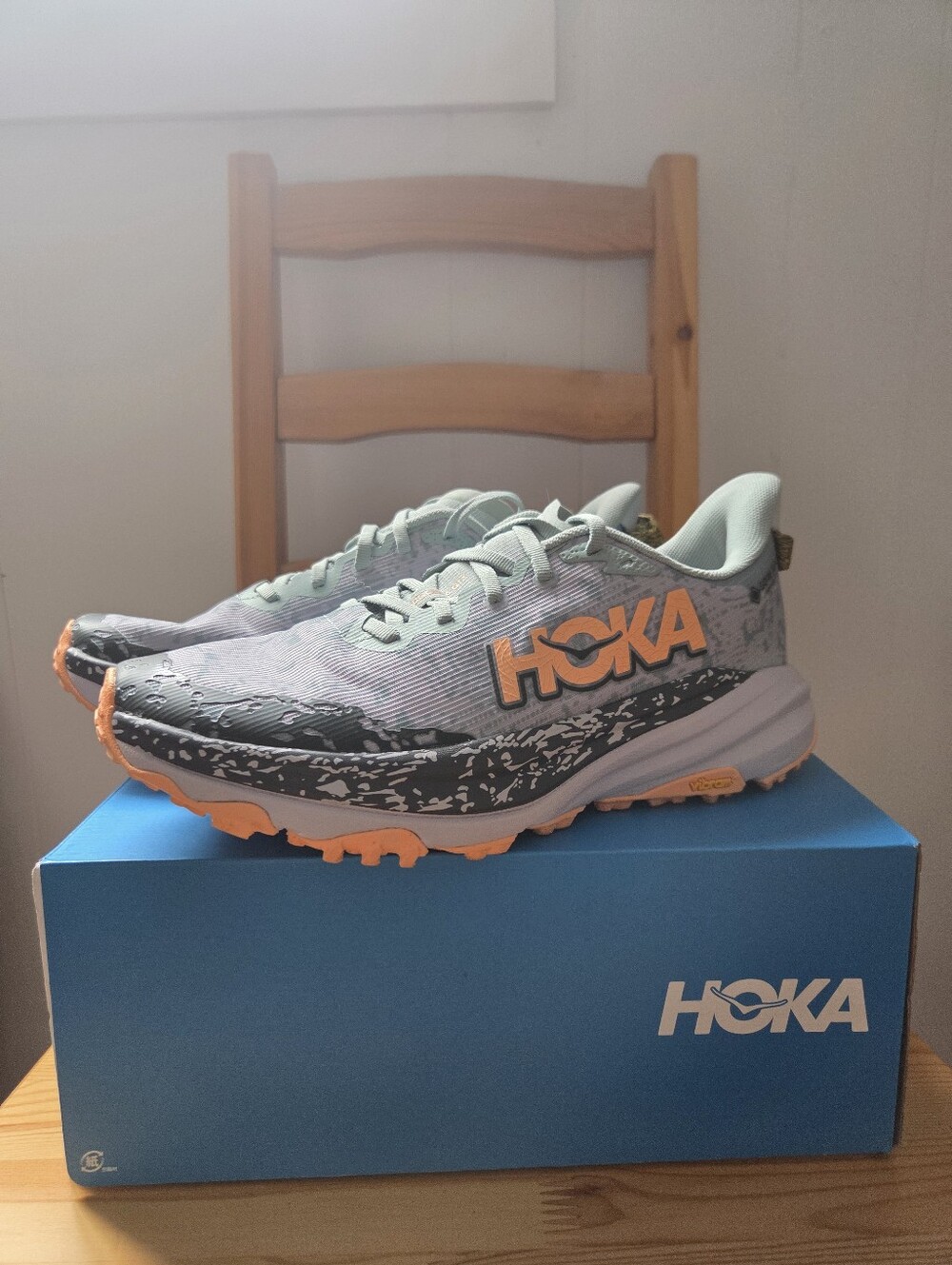NWT Women's Hoka Speedgoat 6 GTX Sneakers